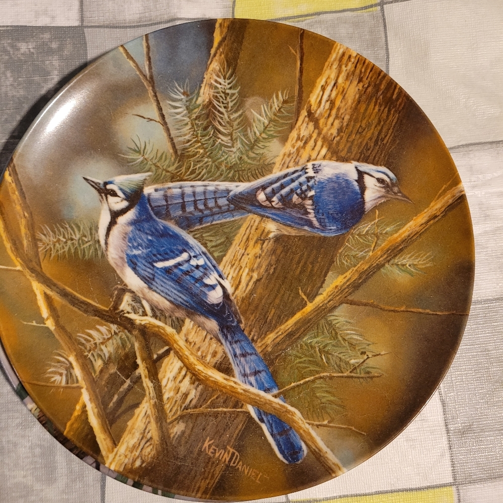 Collection Plates - Picture 5 of 6